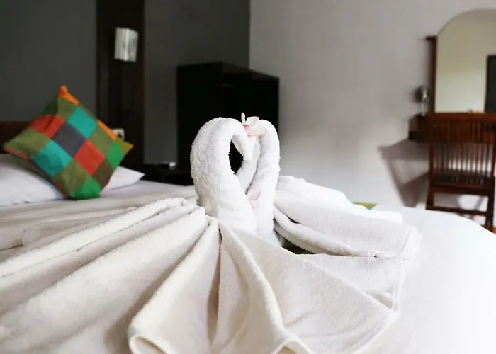 Kuri Garden
